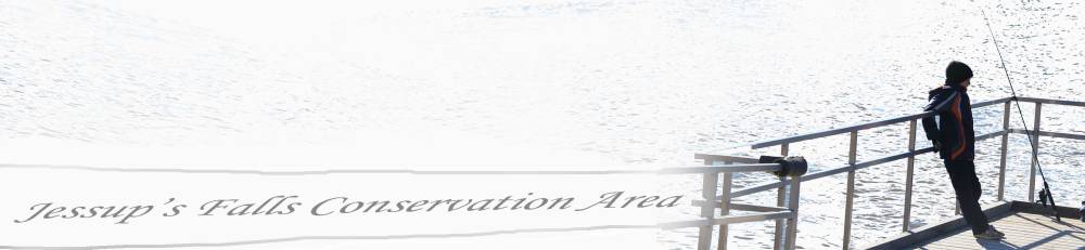 jessupsFalls