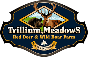 Trillium Meadows Logo